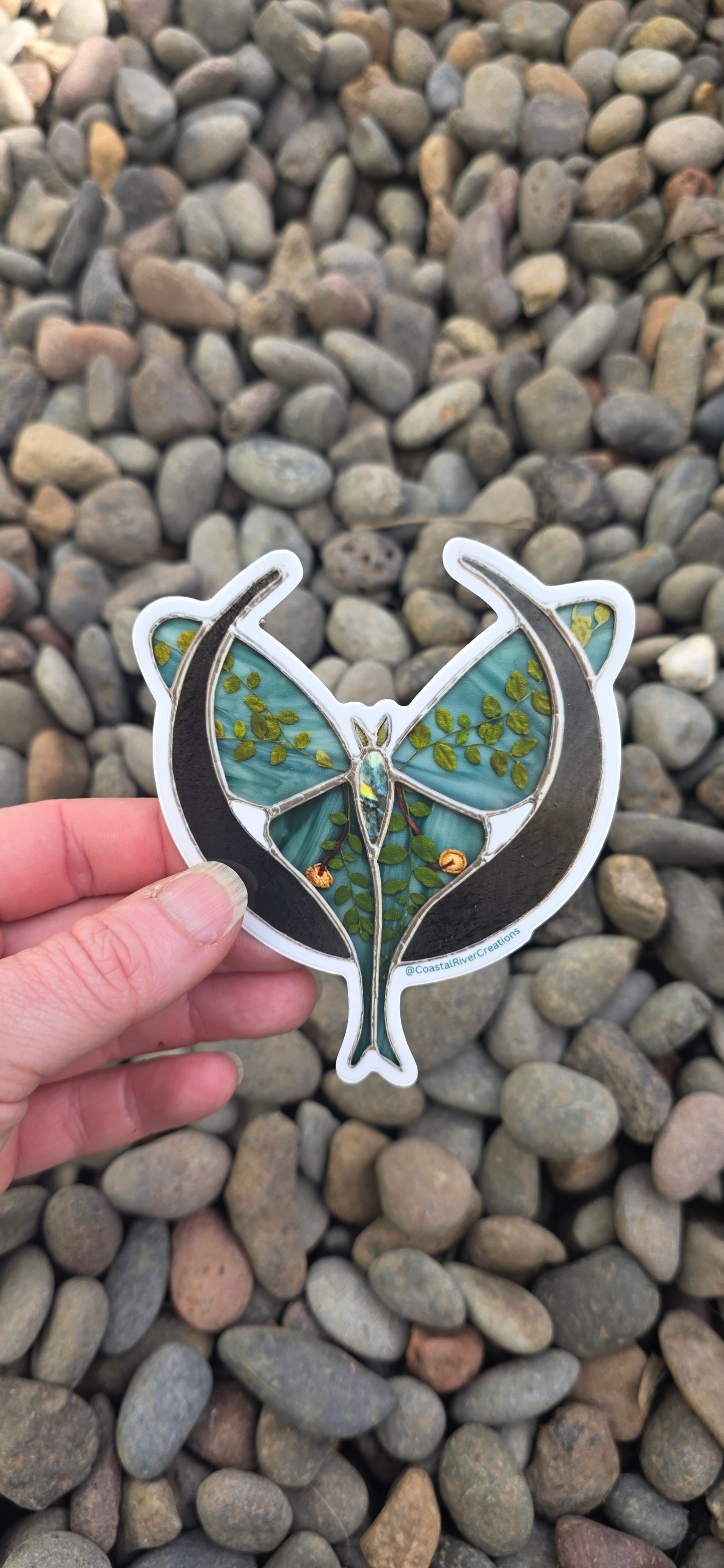 Luna Moth Sticker