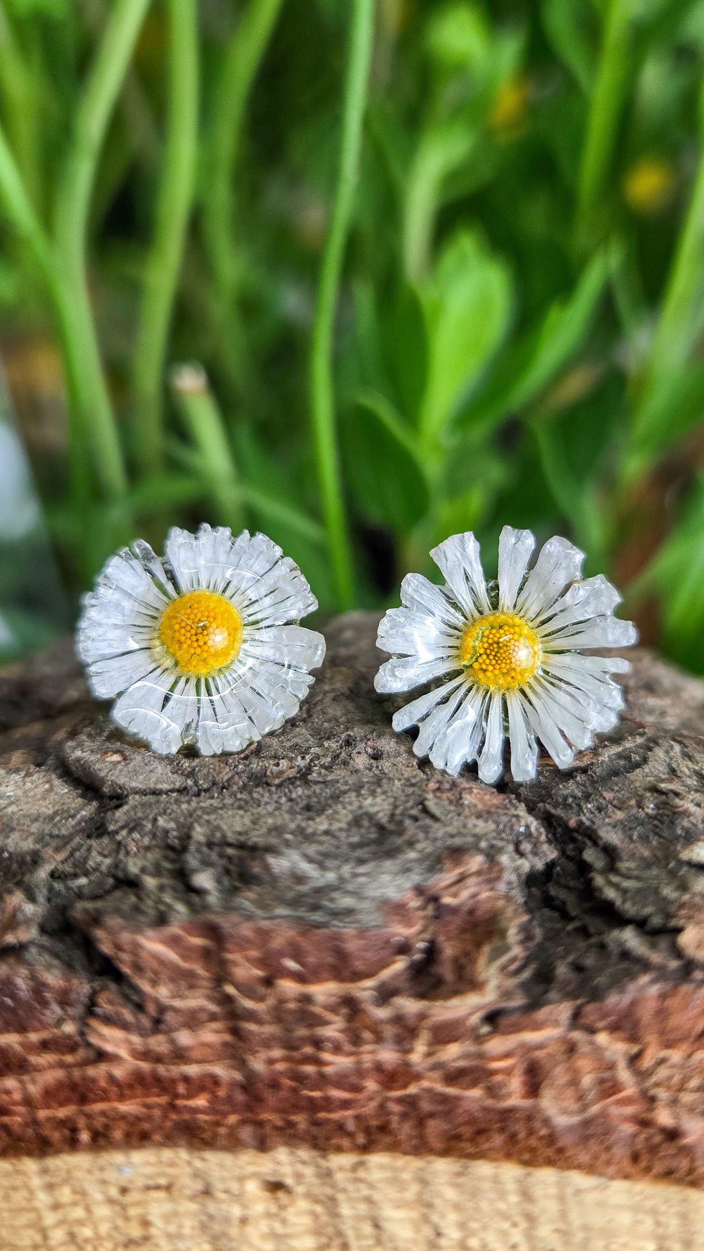 Daisy Studs
