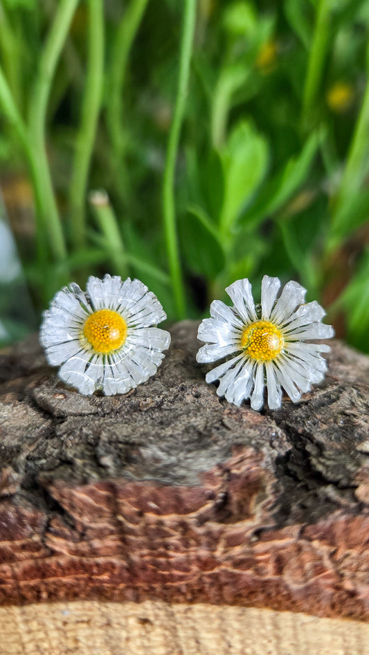 Daisy Studs