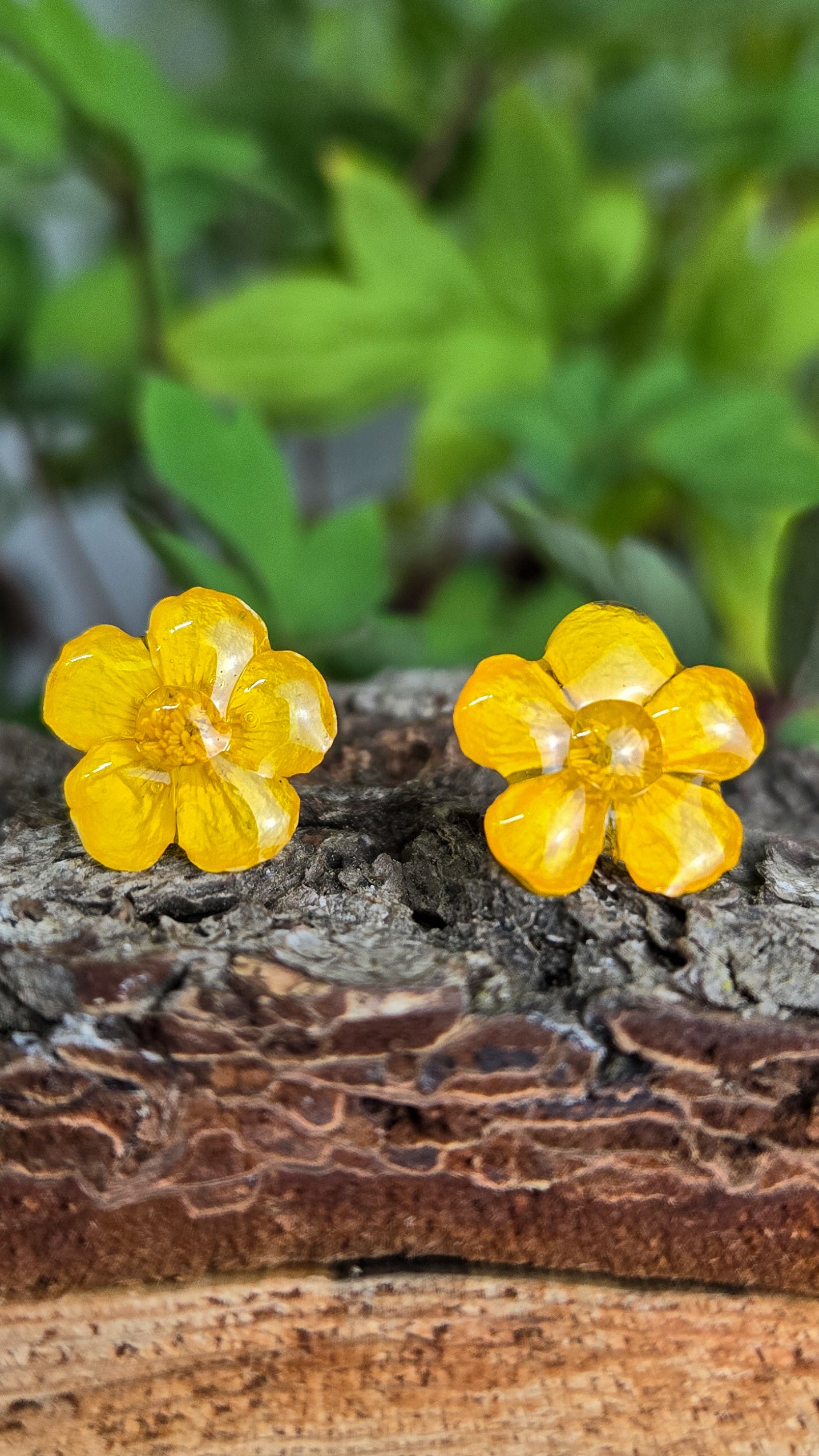 Buttercup Studs