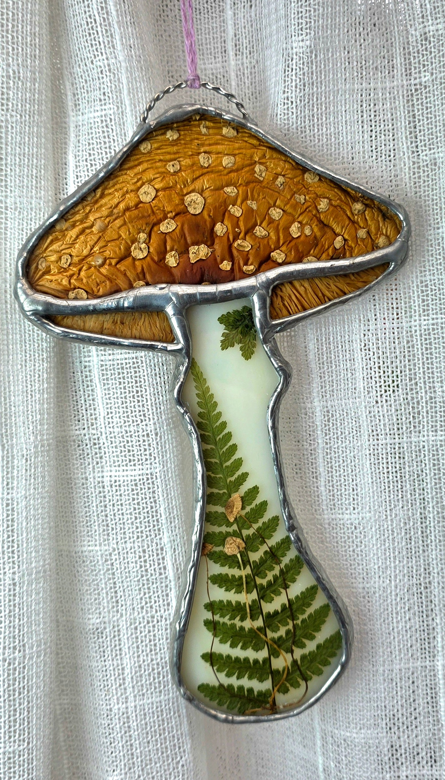 Amanita Muscaria