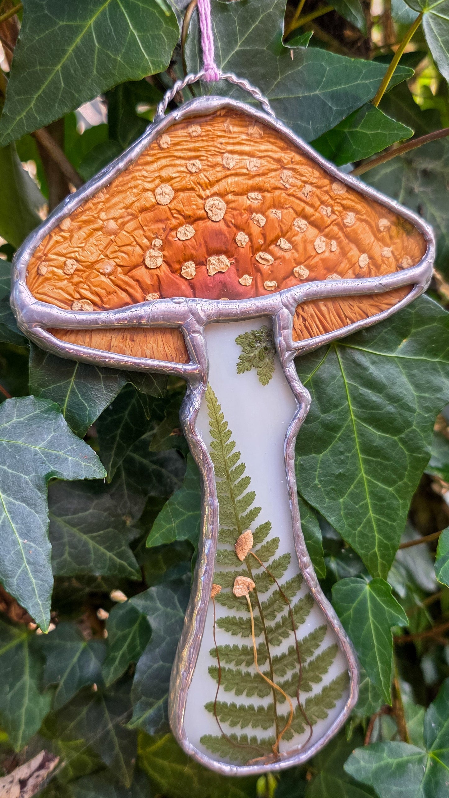 Amanita Muscaria