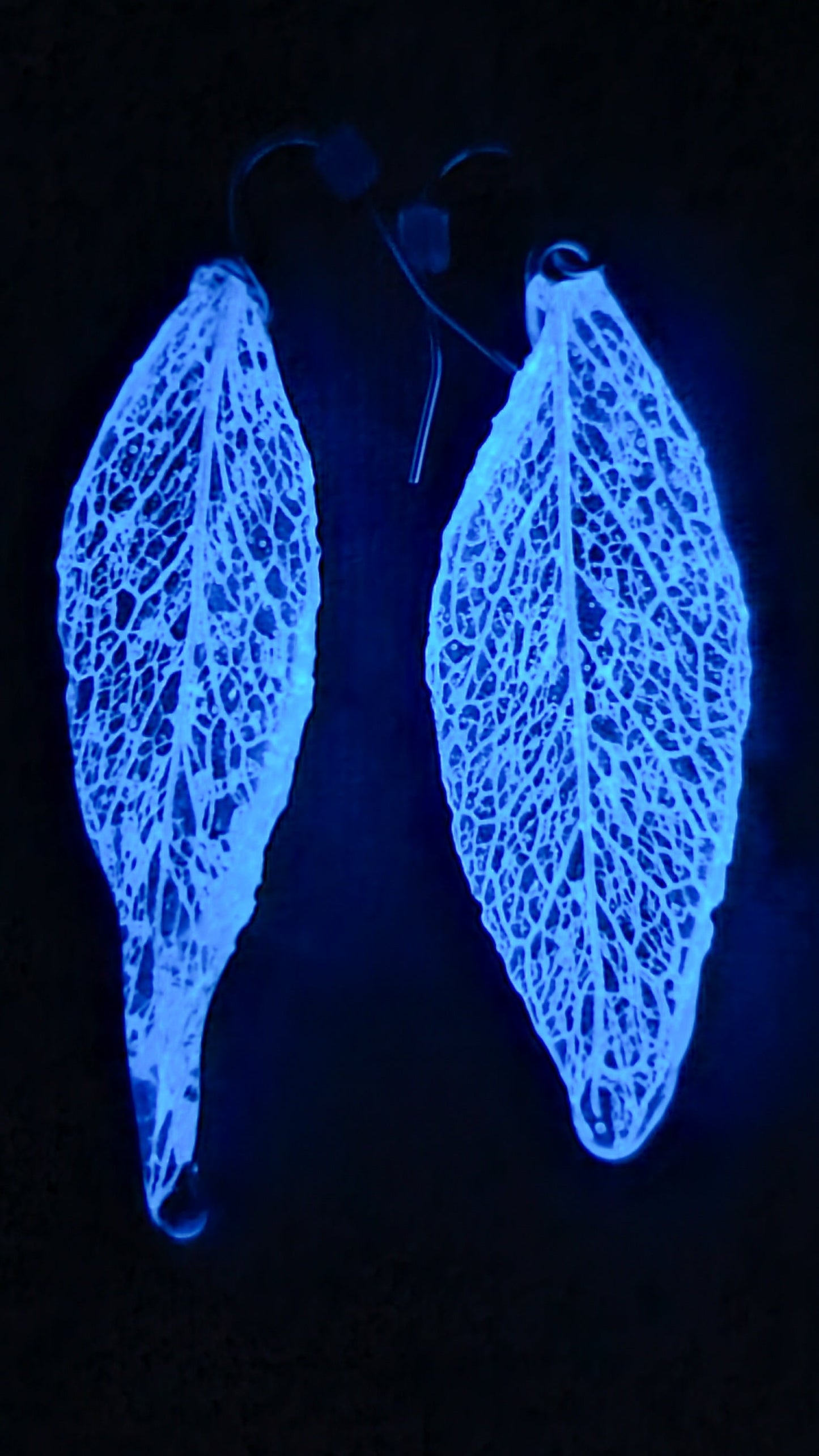 Lunar lit collection