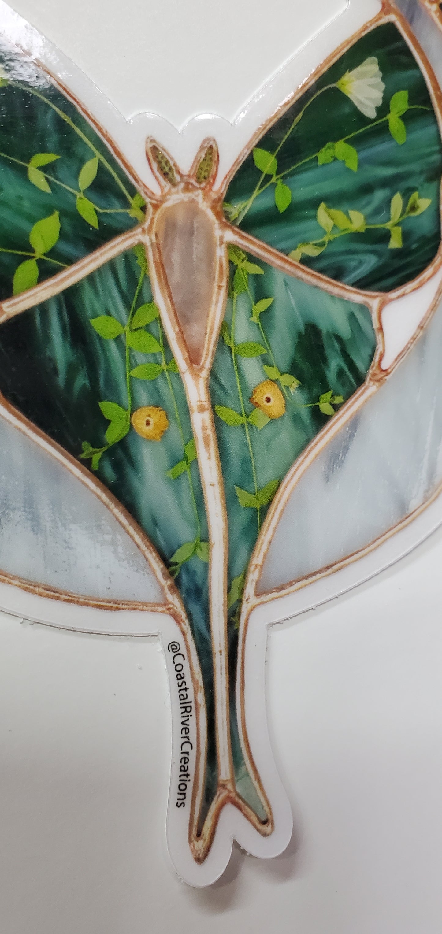 Luna Moth Sticker
