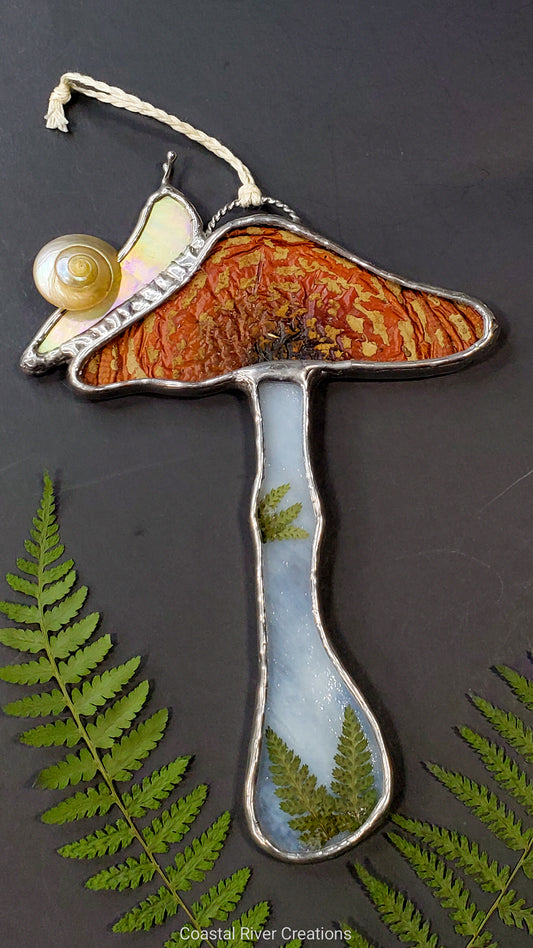 Amanita Muscaria